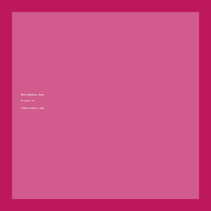 Polar Insulated Flask