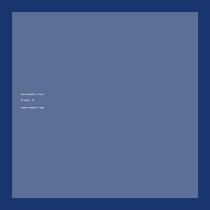 Vista 4K Monitor Light